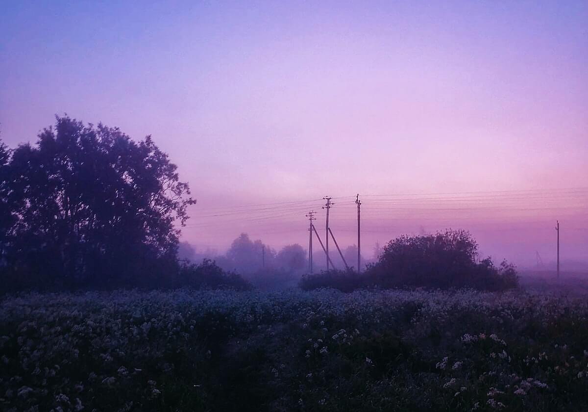 8868体育官方网站：开启属于你的体育新纪元